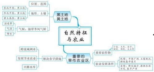亚洲知识思维导图地理